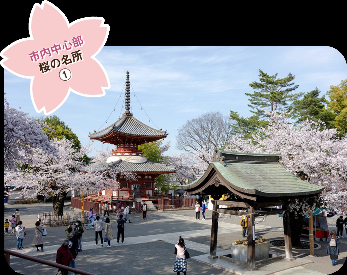 卍 나리타산 가와고에 별원(나리타산 가와고에 베쓰인 혼교인) 이미지 8